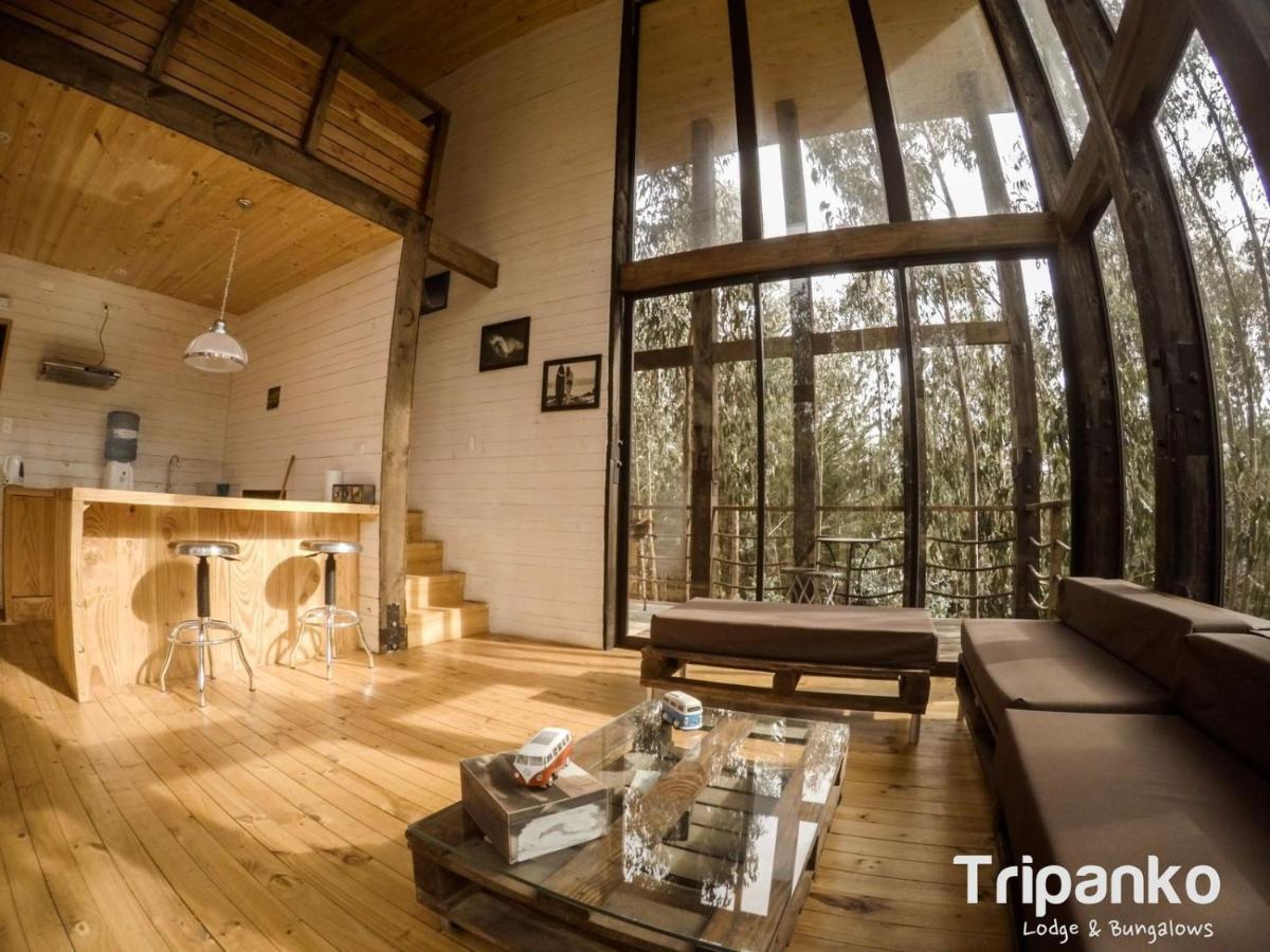 Tripanko Lodge & Bungalows Pichilemu Dış mekan fotoğraf