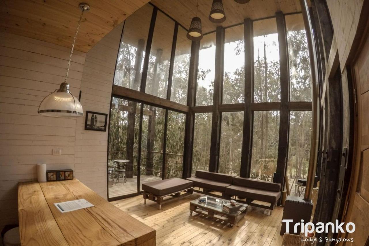 Tripanko Lodge & Bungalows Pichilemu Dış mekan fotoğraf