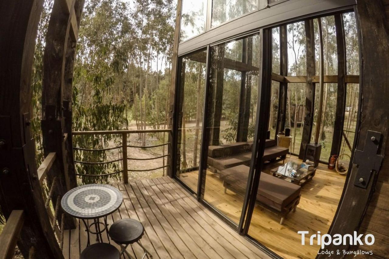 Tripanko Lodge & Bungalows Pichilemu Dış mekan fotoğraf