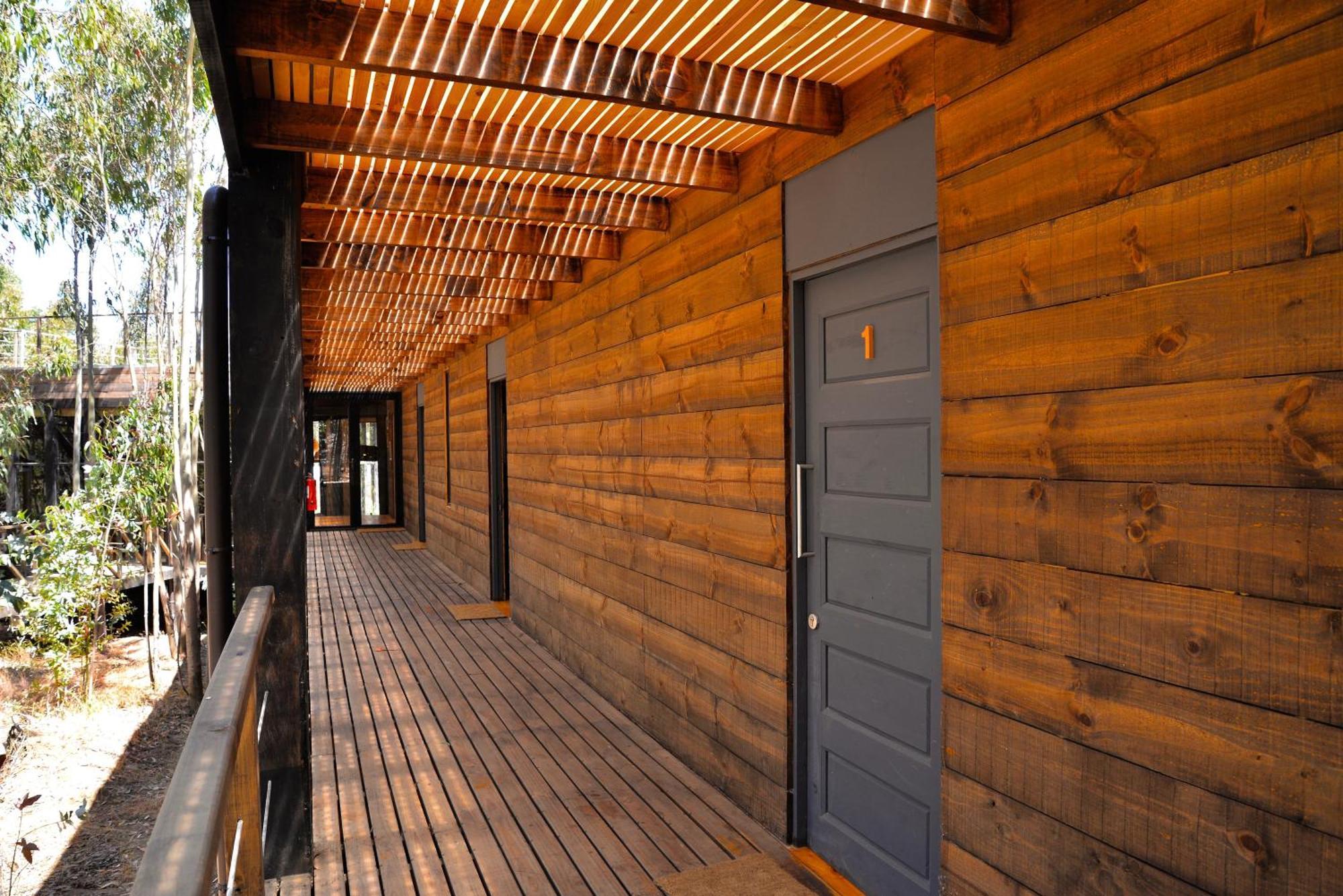Tripanko Lodge & Bungalows Pichilemu Oda fotoğraf