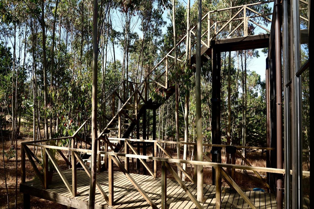 Tripanko Lodge & Bungalows Pichilemu Dış mekan fotoğraf