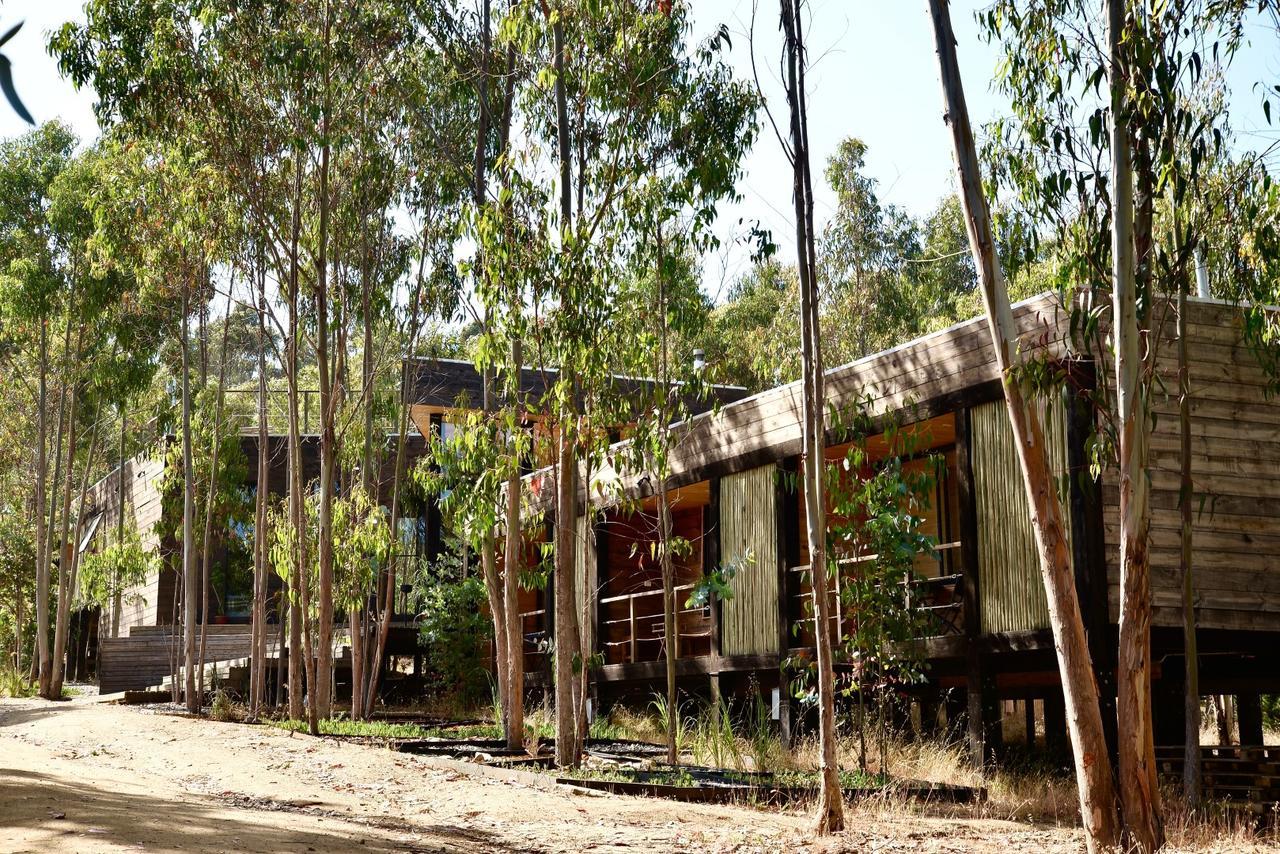 Tripanko Lodge & Bungalows Pichilemu Dış mekan fotoğraf