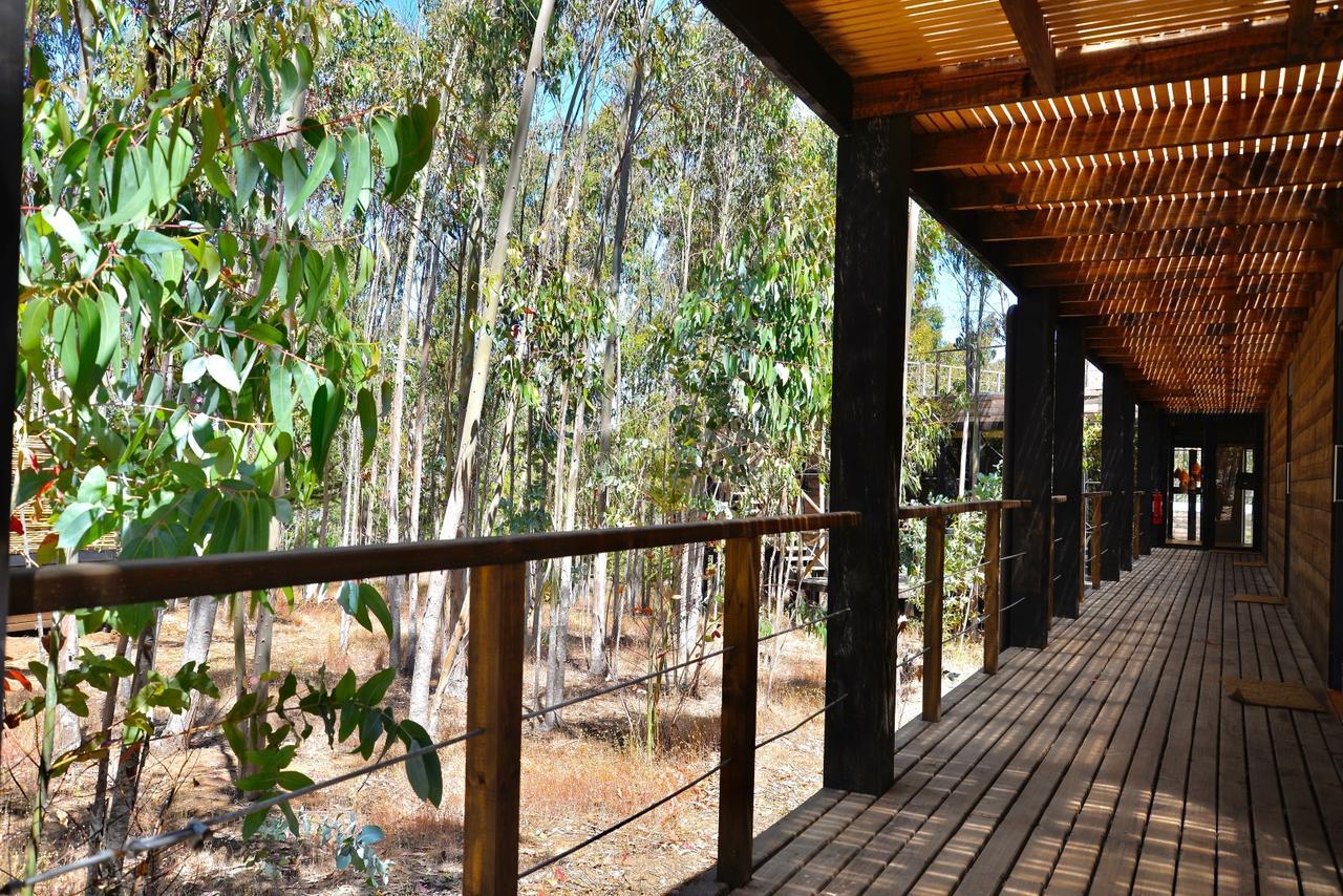 Tripanko Lodge & Bungalows Pichilemu Dış mekan fotoğraf
