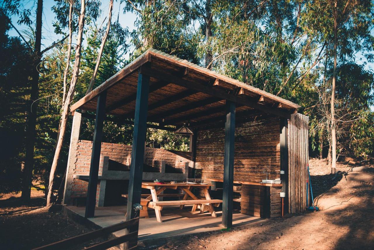Tripanko Lodge & Bungalows Pichilemu Dış mekan fotoğraf