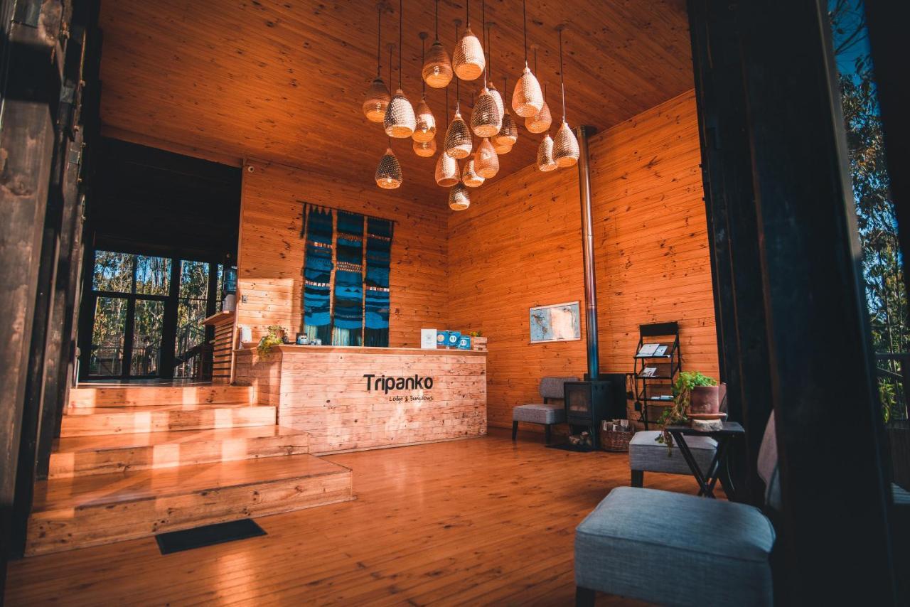 Tripanko Lodge & Bungalows Pichilemu Dış mekan fotoğraf